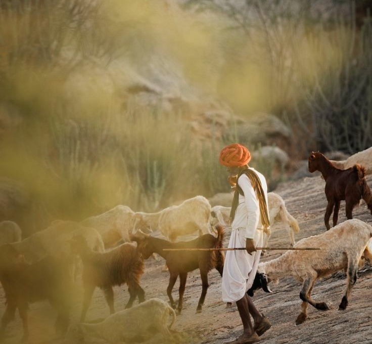 6N/7D Royal Rajasthan Tour